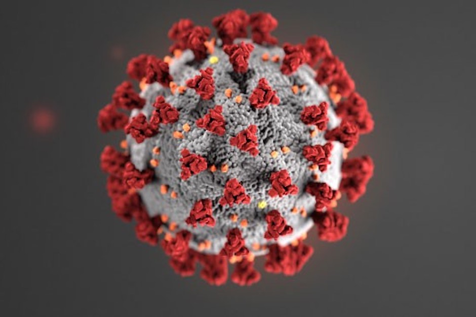 SARS-CoV 2 coronavirus spores