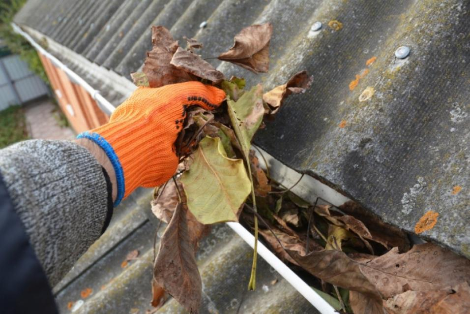 Cleaning a rain gutter of dry leaves