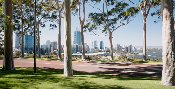 A view of Perth looking through trees