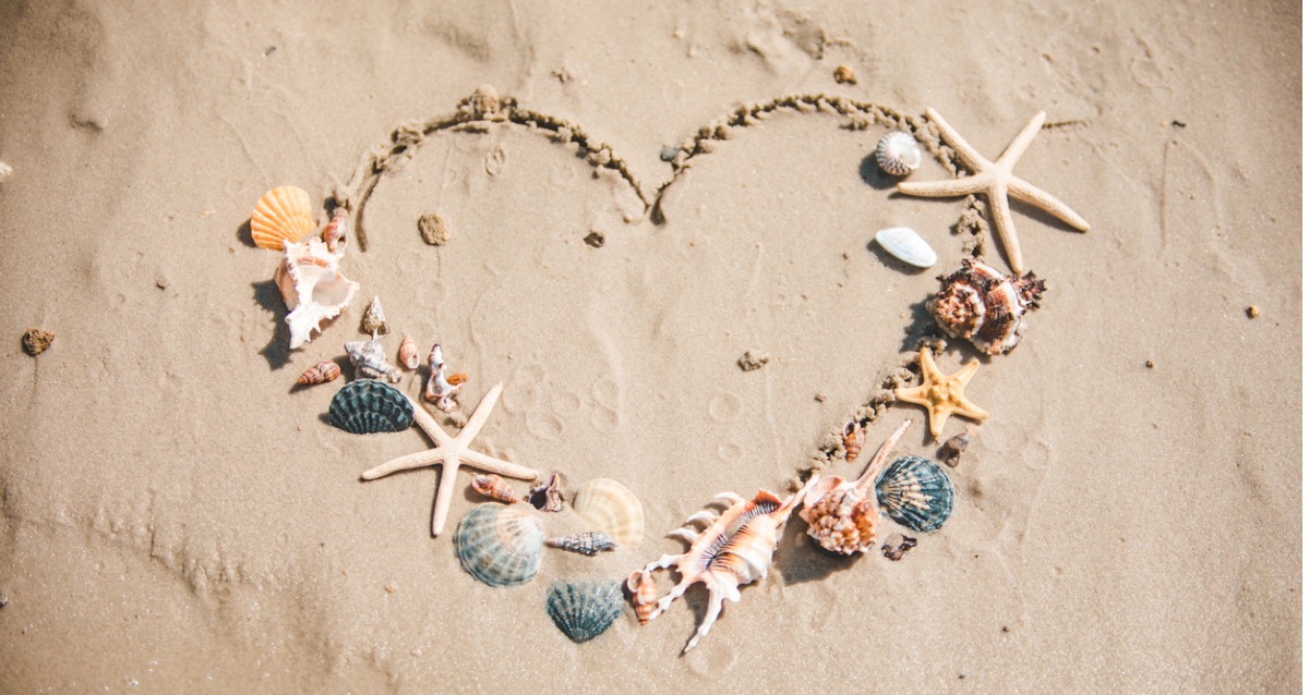 A photograph of a heart drawn in the sand of a beach. Around the edges of hte heart, decoratively placed, are a variety of seashells, and starfish.